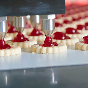 Linked Image Grid with Captions1