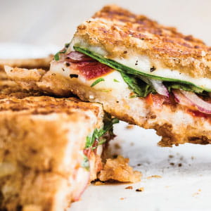 Linked Image Grid with Captions2